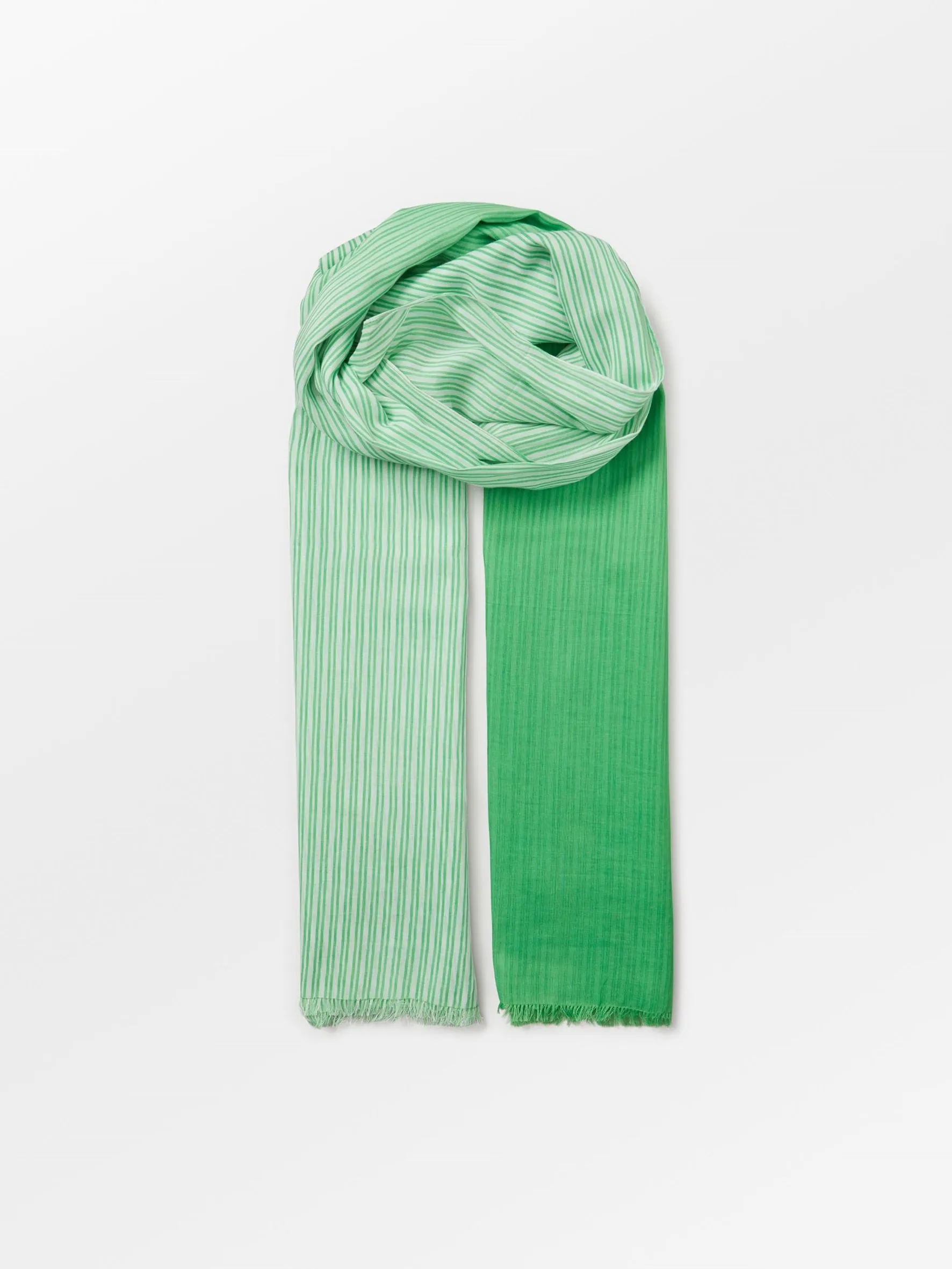 Aidipta Corga Scarf