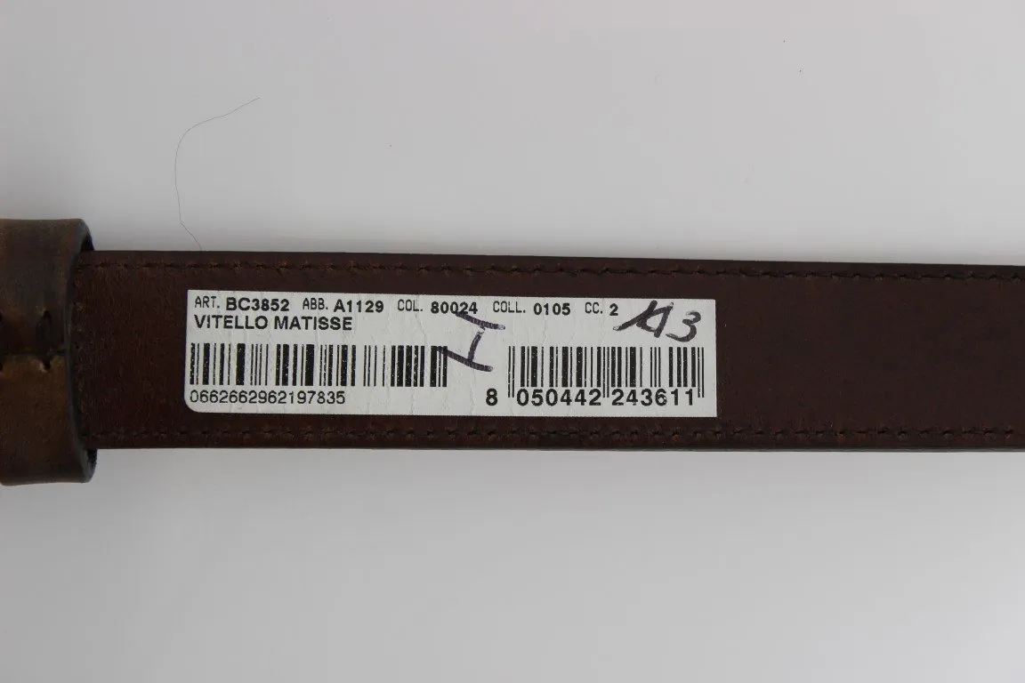 Brown Leather Gold Buckle Belt
