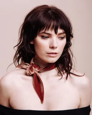 brown velvet scarf tie
