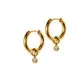 Celine Huggie Charm Earrings