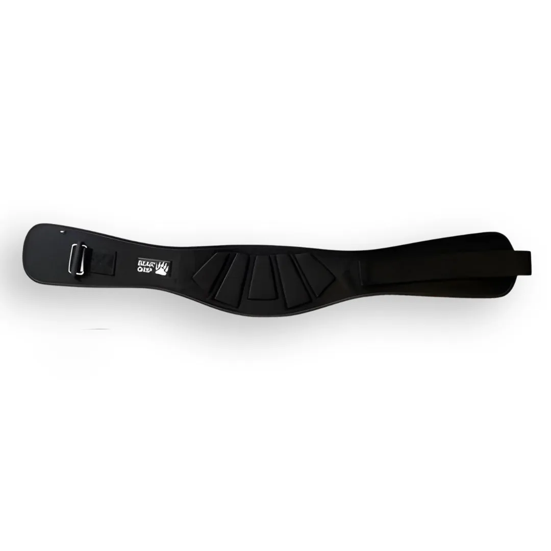 Curved Weight Lifting Belt with Lumbar Back Support