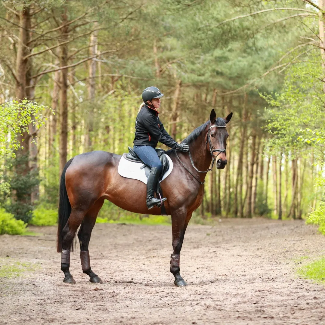 Equilibrium Breathable Tri-Zone Brushing Boots Brown