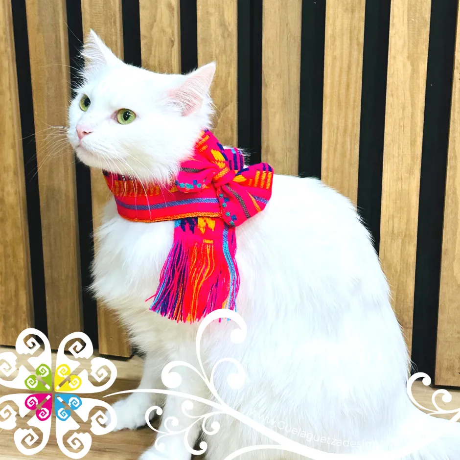 Fuchsia Cat Cambray Scarf - Pet Accessories