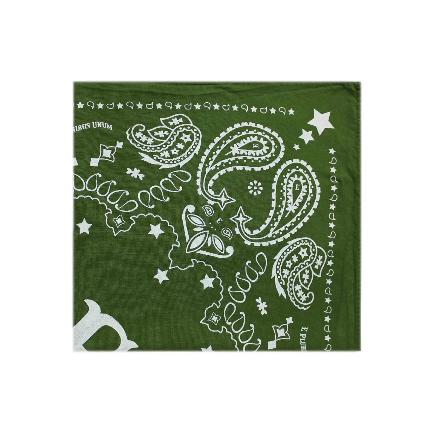 Paisley Bandana Scarf