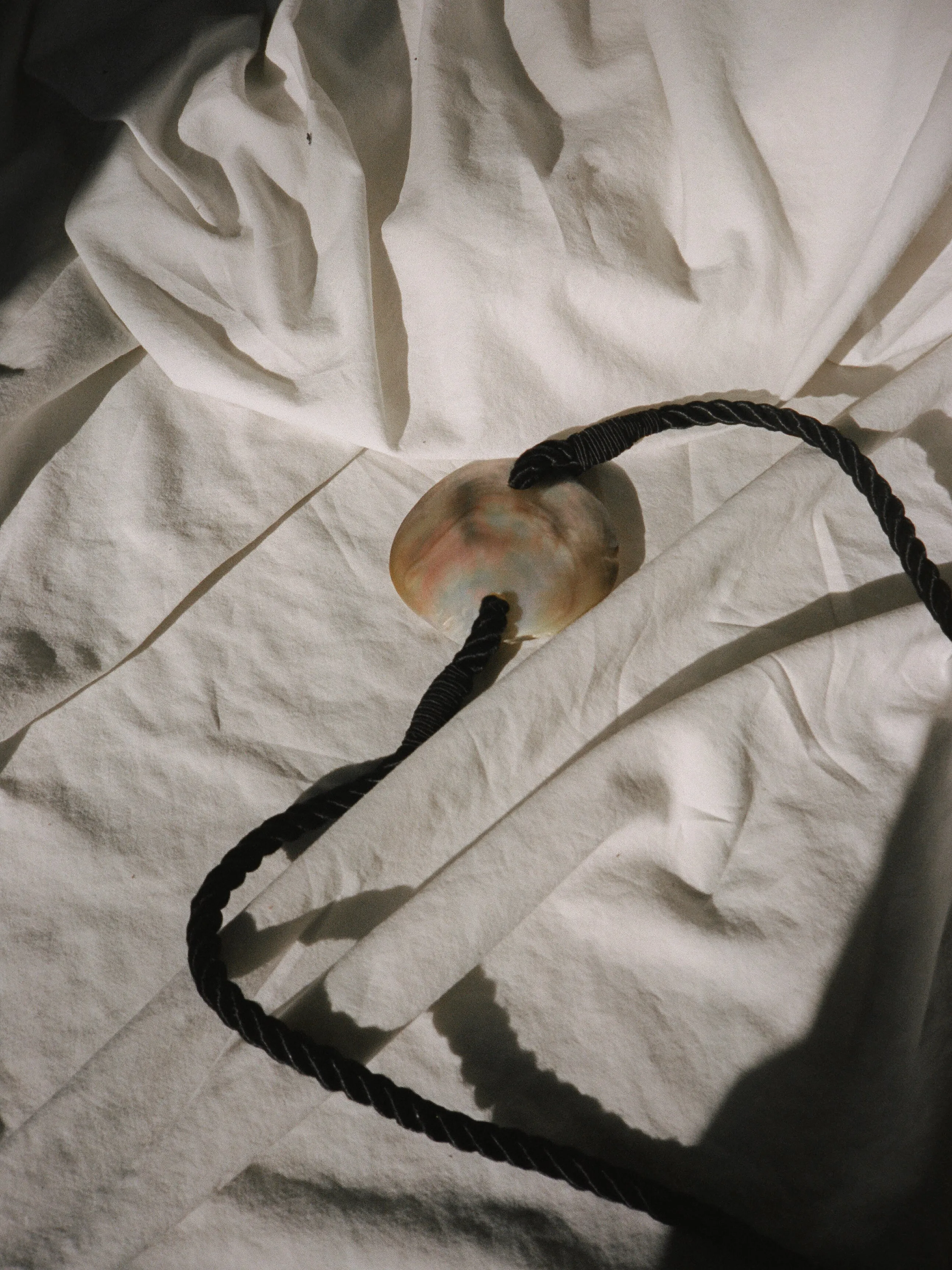 Shell Cord Belt