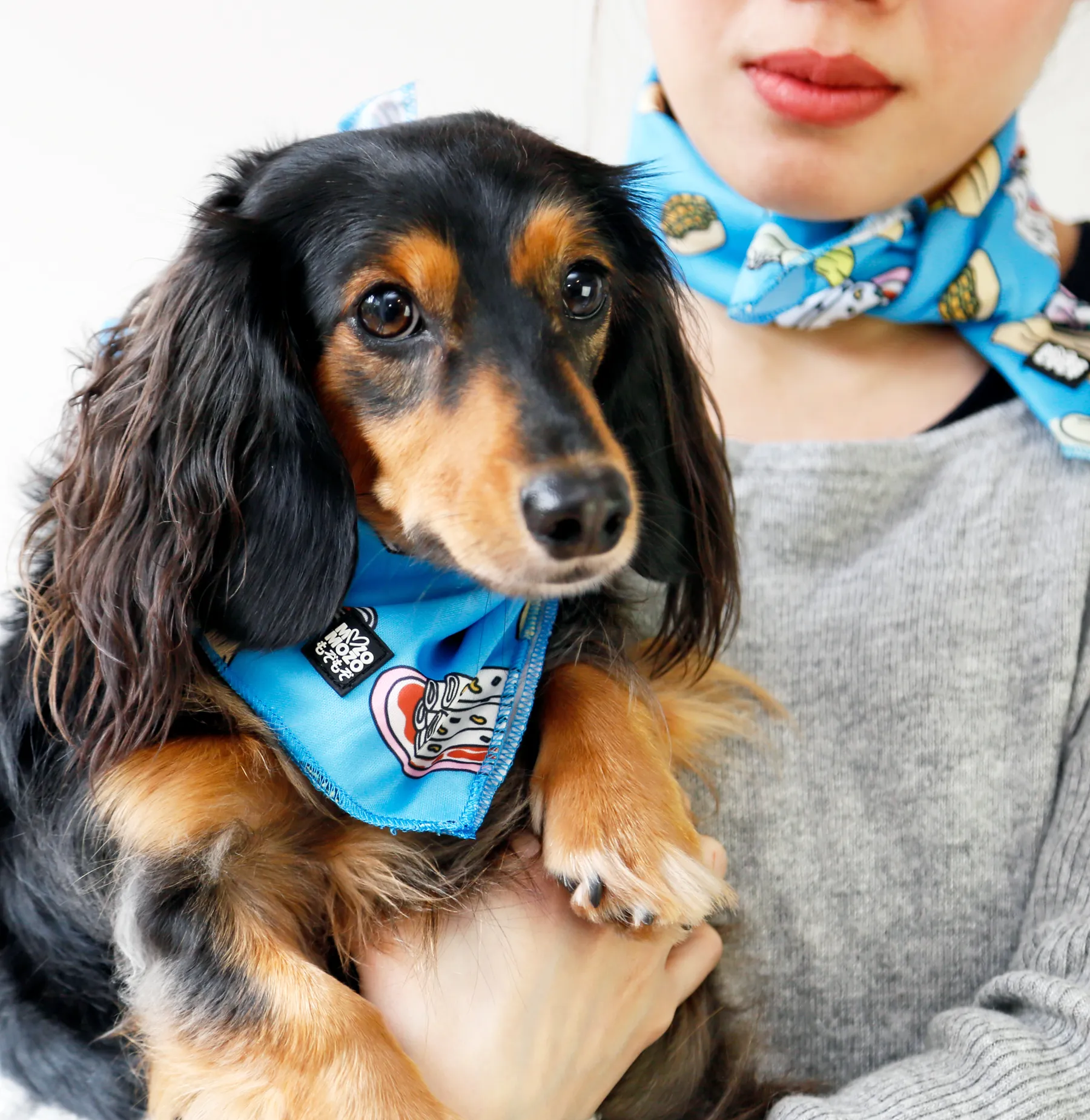 Soy into dimsum bandana