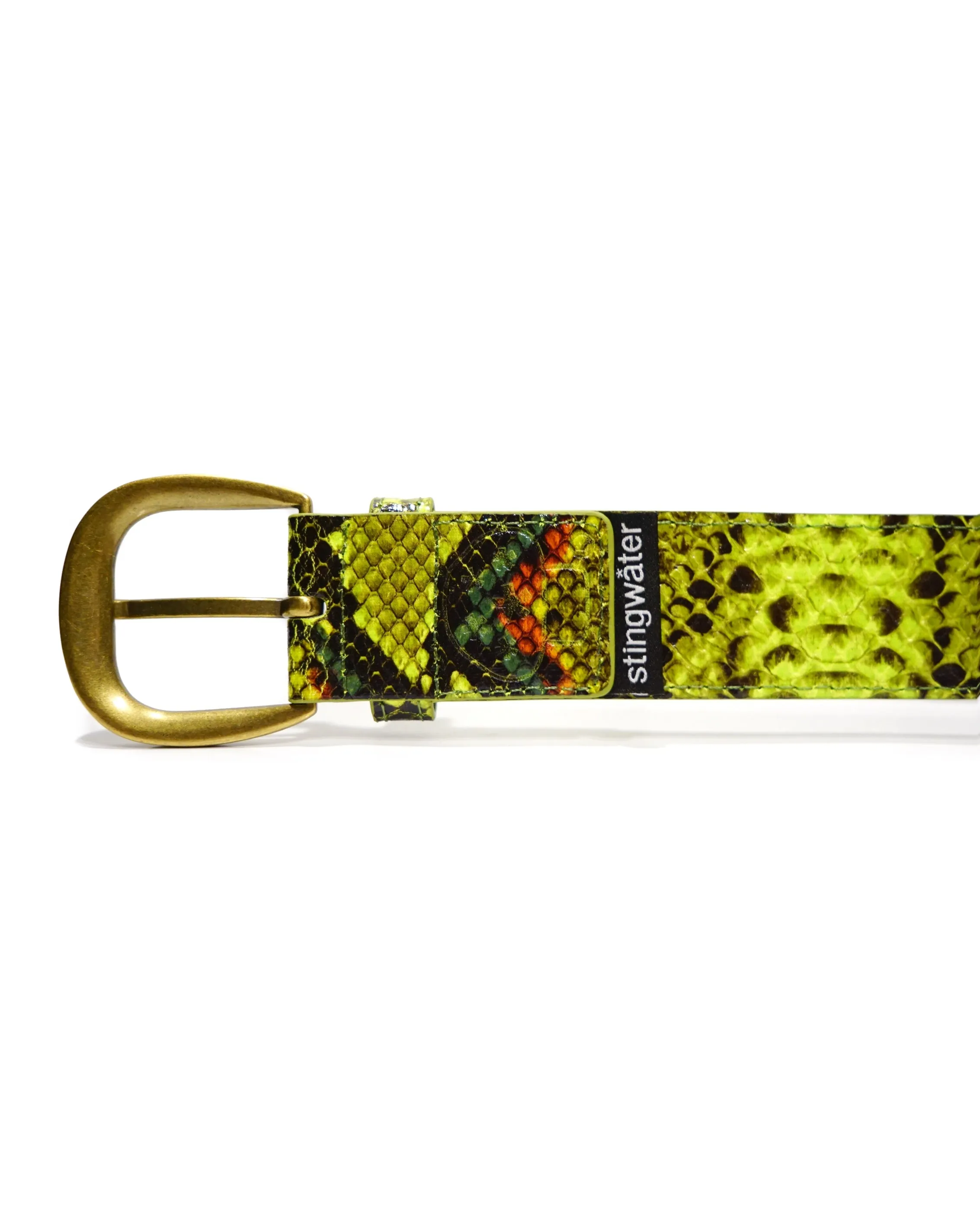 Stingwater Vein Belt Green Snake