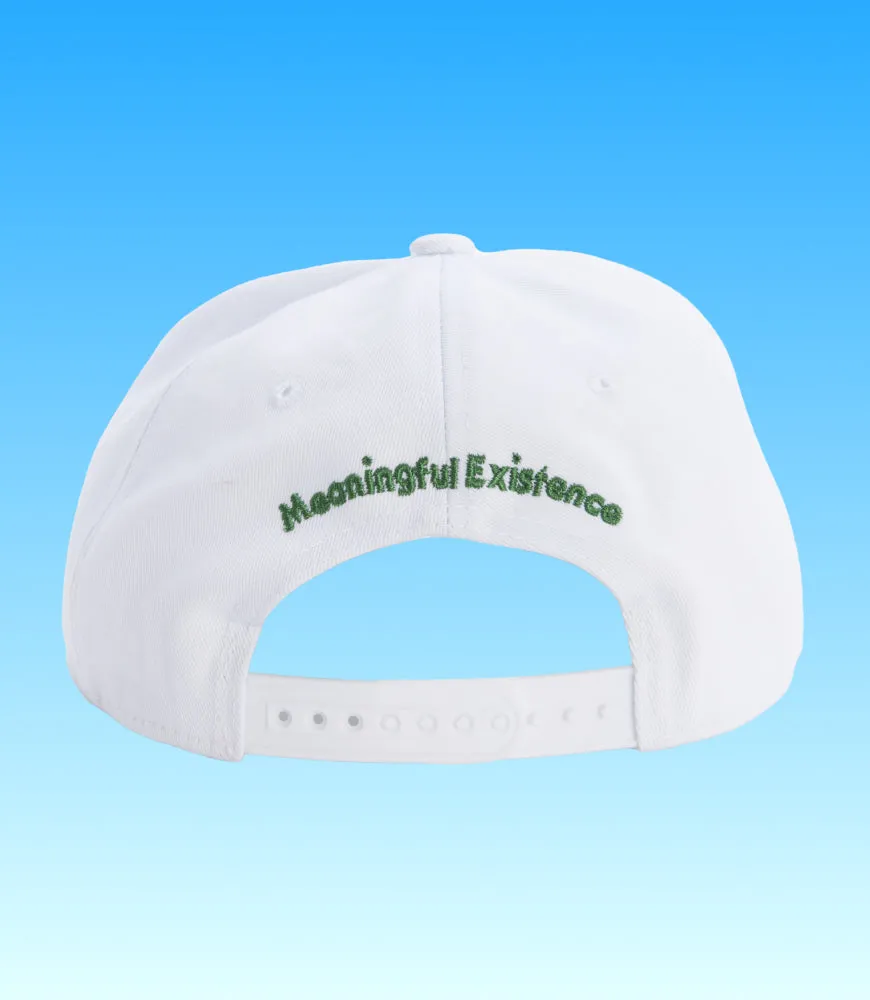 The Control Snapback